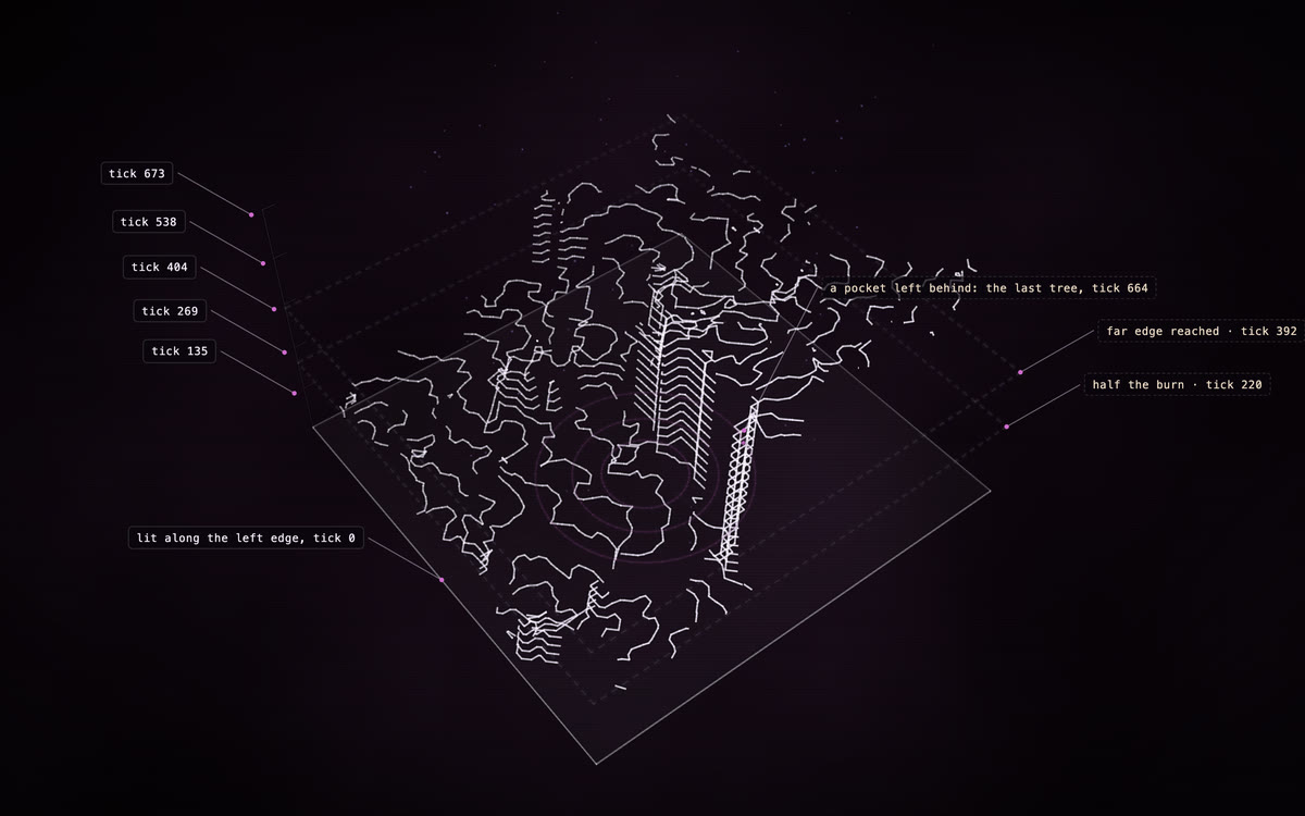 Fire (NetLogo), a construct of a model's run